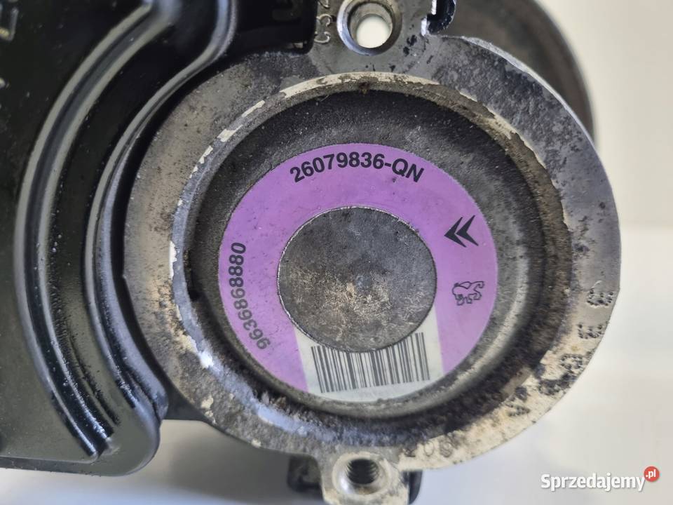 Peugeot 206 16 16V POMPA WSPOMAGANIA 9636868880 Rudka