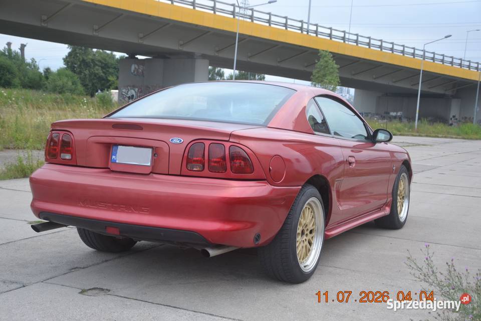Ford Mustang SN95 50 V8 automatyczna Gdańsk sprzedam