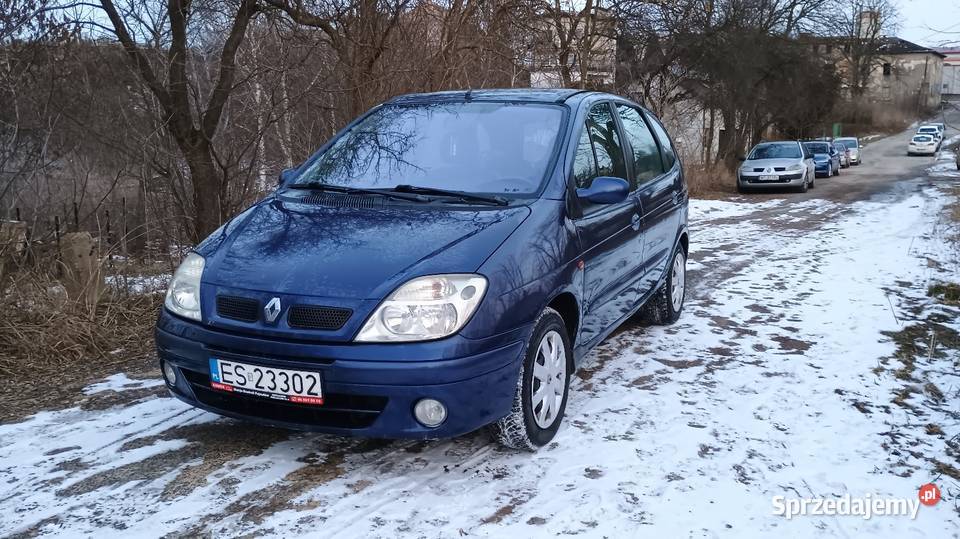 2002 Renault Megane Scenic Sochaczew