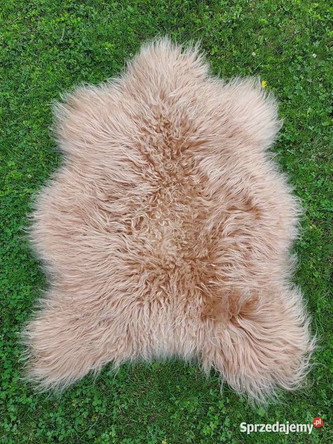 Owcza Skóra Naturalna Kremowa Długi Kręocny Włos Szaflary