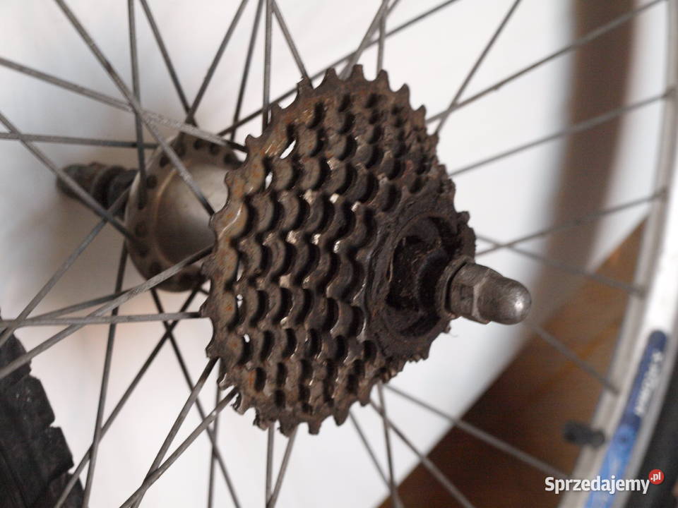 koła 26 disc Chojnów