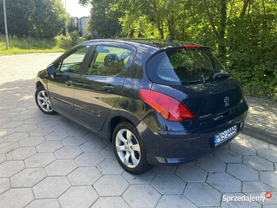 Peugeot 308 Peugeot 308 Zarejestrowany Benzyna elektryczne lusterka