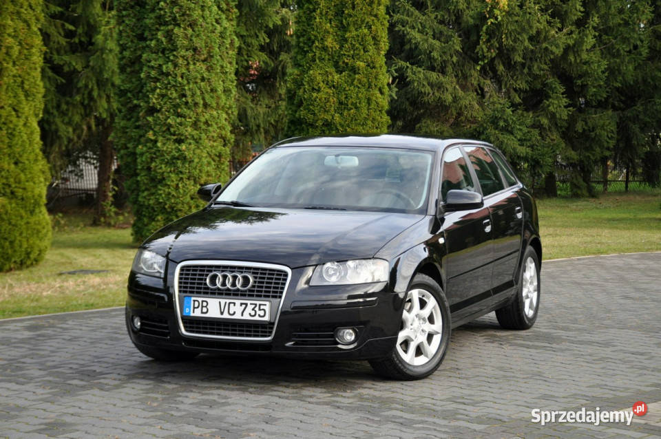Audi A3 19TDI105CzarnaKlimatronikGrzane A3