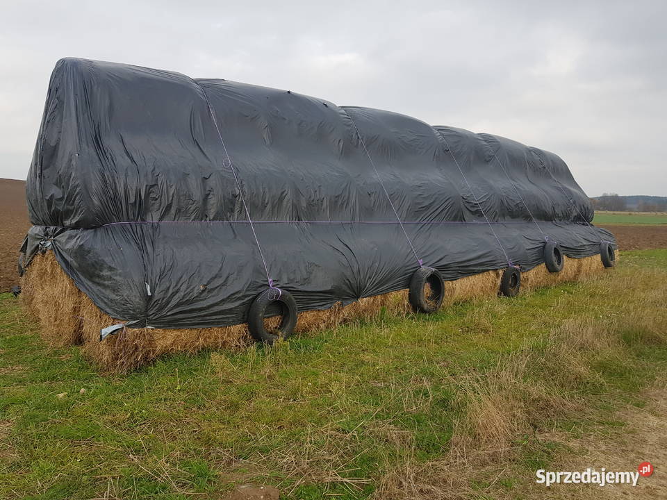 Sprzedam bele słomy 120 i 20 siana podlaskie Bobrowniki