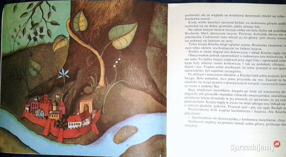 Przygody Sałamury Arczył Sułakauri Pozostałe Pozostałe Chełm