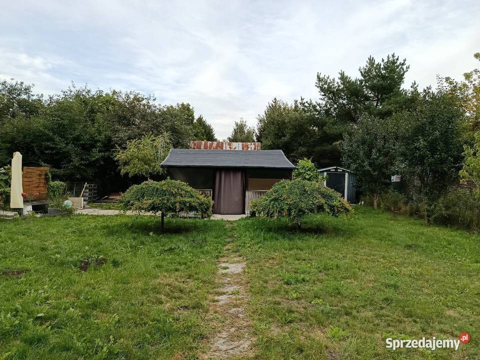 działka ROD Kaczeniec 300m2 Ząbki sprzedam