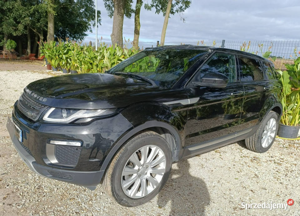 Land Rover Range Rover Evoque Evoque I 20112018 Pleszew sprzedam