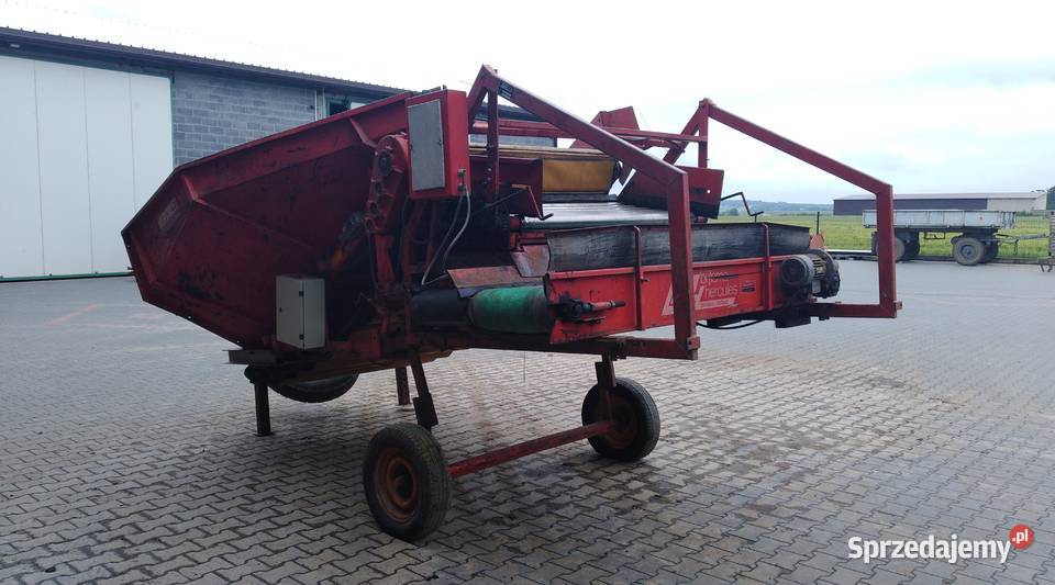 Kosz przyjęciowy do warzyw Skalbmierz