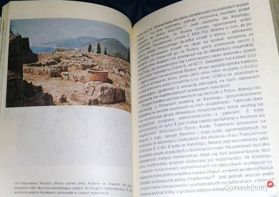 Homer i epoka heroiczna J V Luce Chełm