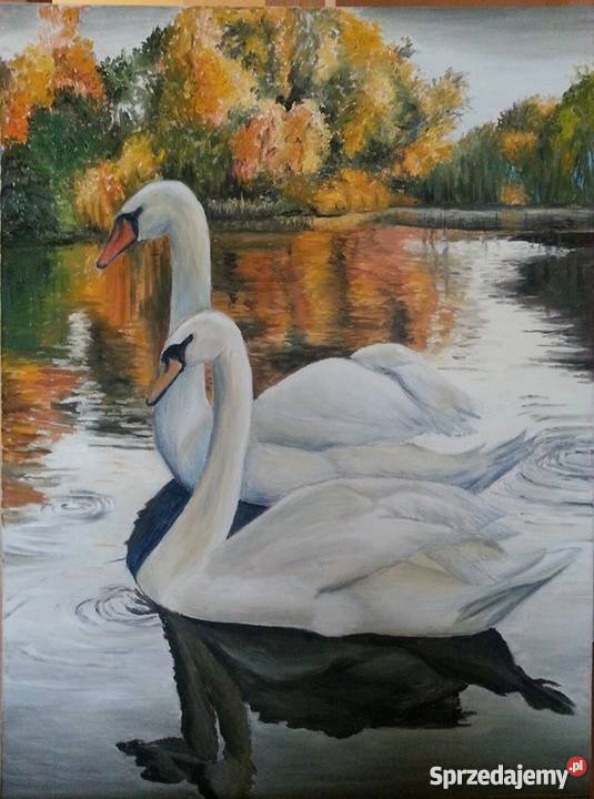 Obraz olejny Labedzie lubelskie Zawoda