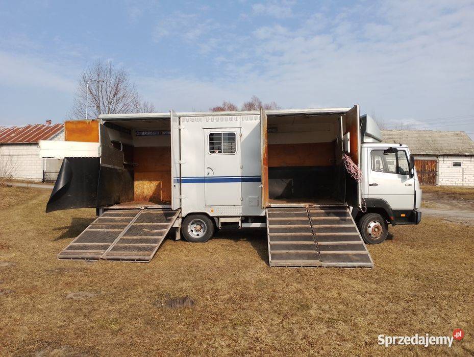 Mercedes 814 koniowóz do przewozu koni do Narol