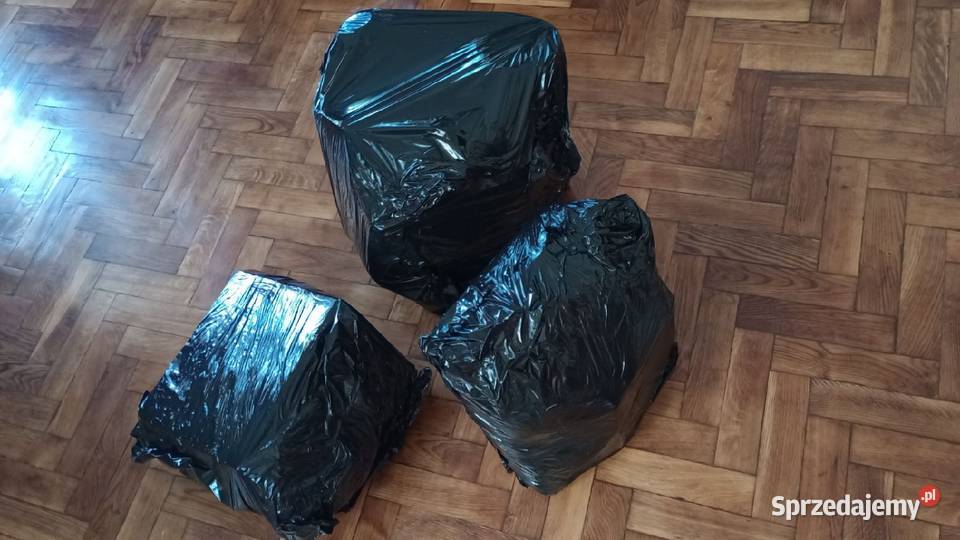 PAXZKA NIESPODZIANKA Łódź