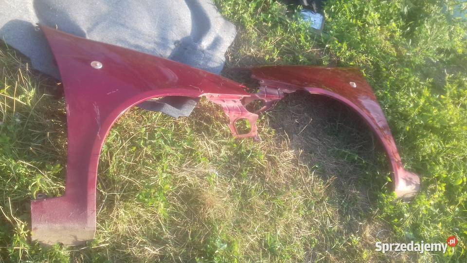 Błotnik przedni prawy lewy przód Fiat Punto II osobowe Kraków