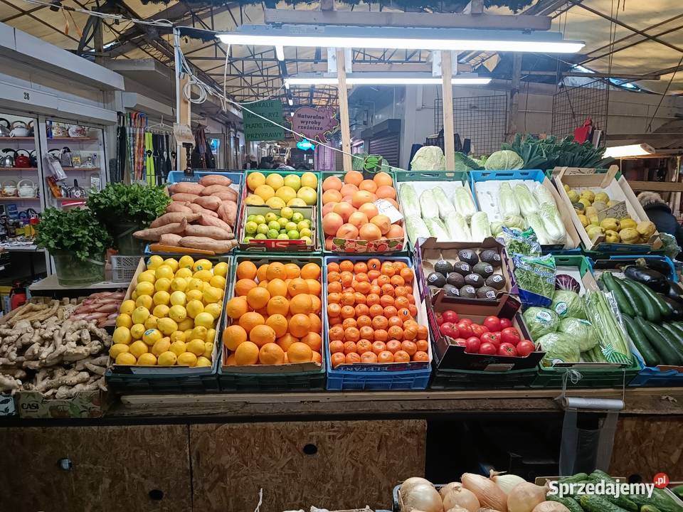 Wynajmę pawilon Ilość pomieszczeń 1 Warszawa