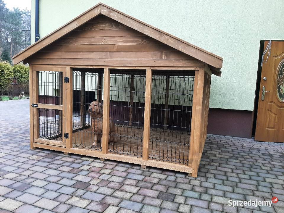 Kojec psa Jordanów