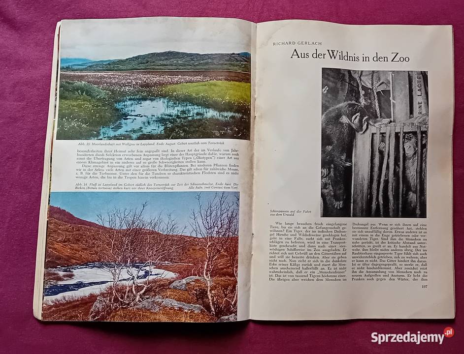 Miesiecznik popularnonaukowy Kosmos Niemcy 4 Antyki, Sztuka, Kolekcje Koźminek