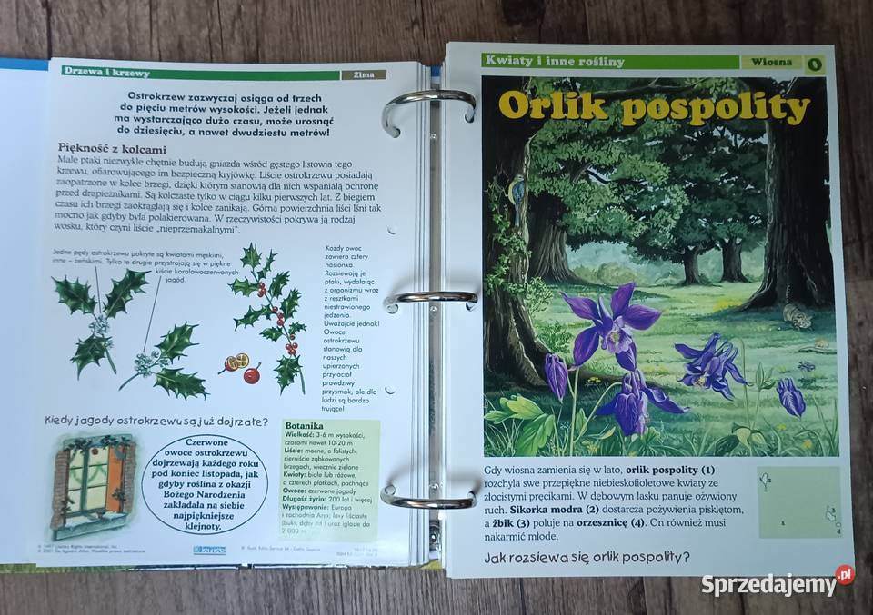 Leśne przygody karty z albumu DeAgostini Poradniki, albumy i reportaże