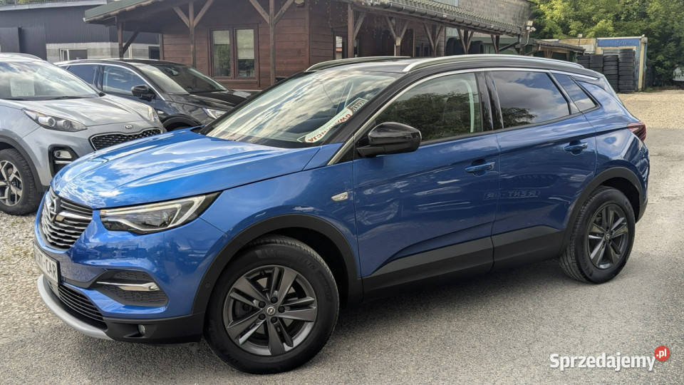 Opel Grandland X śląskie Częstochowa