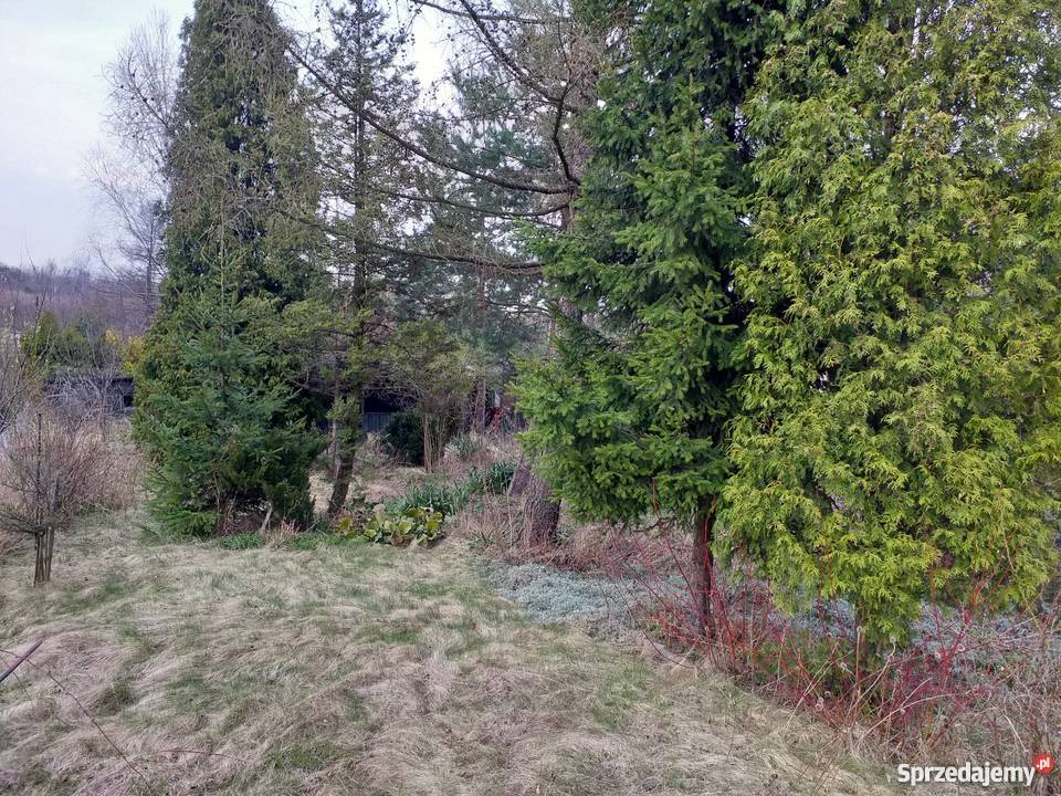 Ogród działkowy 380 m2 Bytom Odrzańska ROD polna śląskie