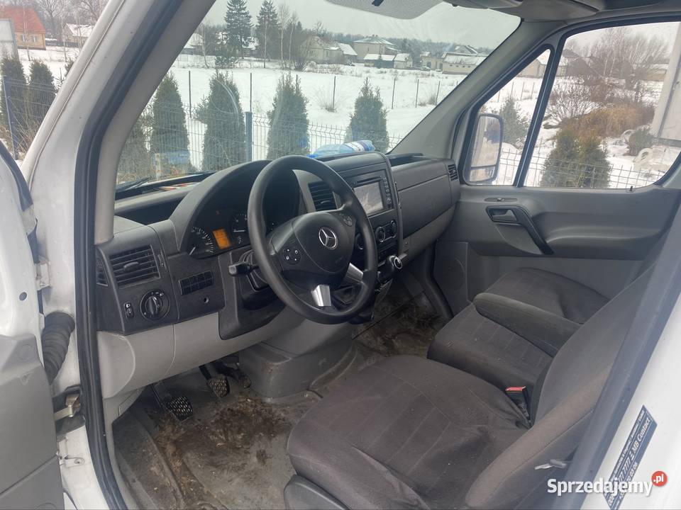 Mercedes sprinter do przewozu bydła z wagą podlaskie Sawino