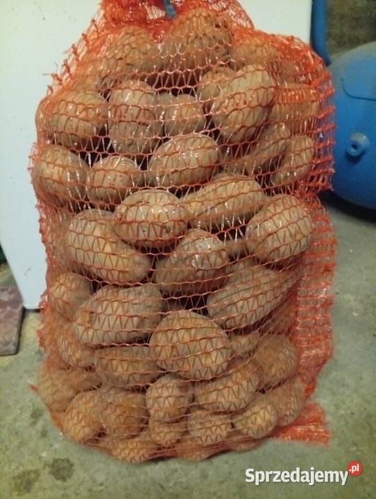 Ziemniaki smaczne Pozostałe