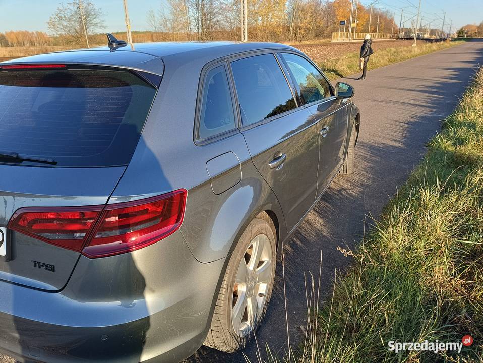 Audi A3 2013 14 tfsi Orginalny lakier Pierwszy Czosnówka