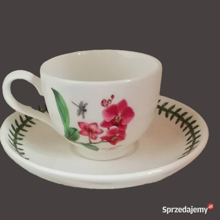 Portmeirion Botanic GardenFiliżanka warmińsko-mazurskie Szczytno