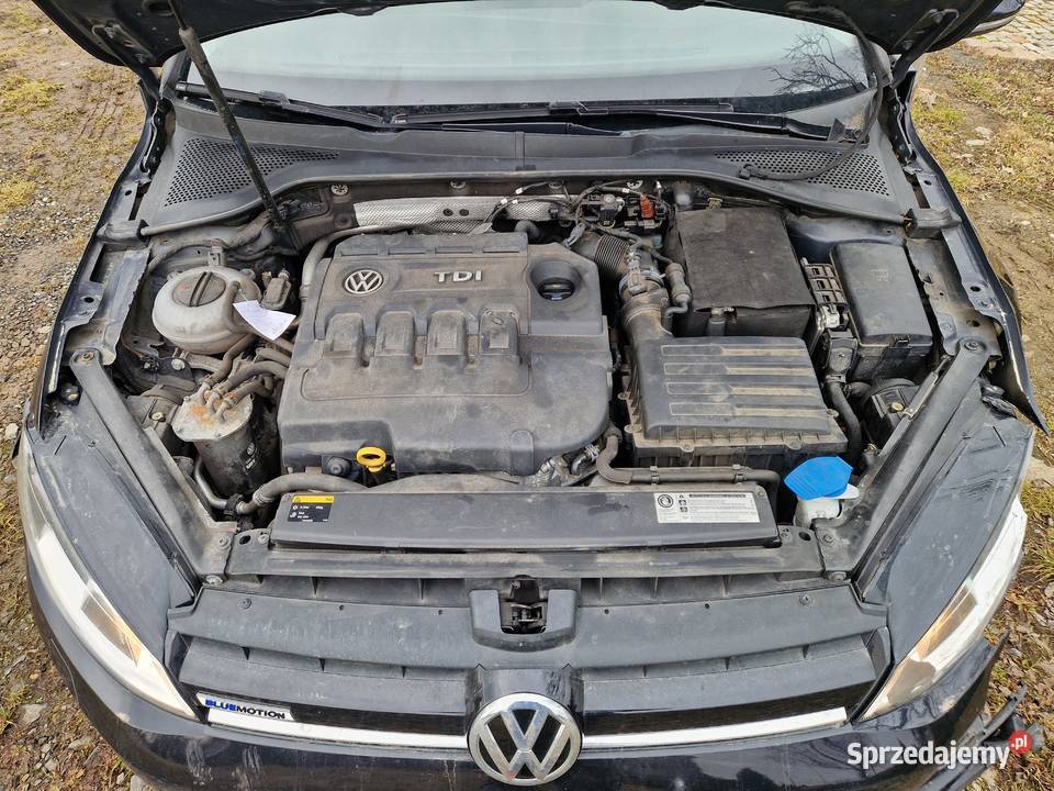 Vw Golf VII 16TDI z Niemiec Okazja dolnośląskie sprzedam