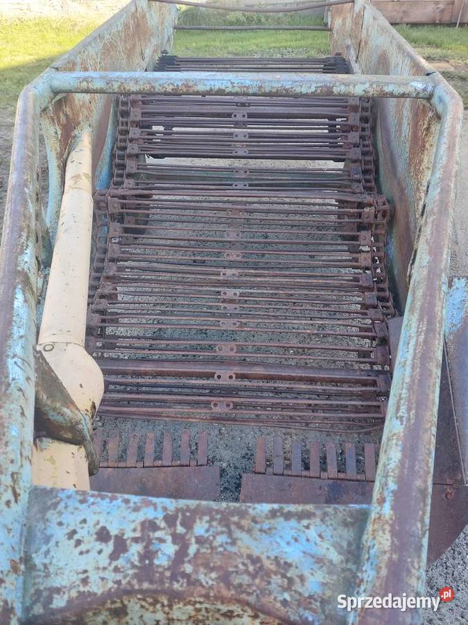 Kopaczka elewatorowa do ziemniaków sprzedam