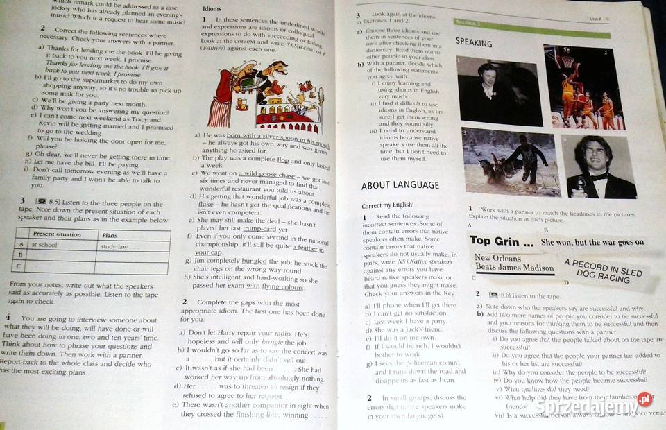 Language Issues Gillian PorterLadousse lubelskie Chełm sprzedam