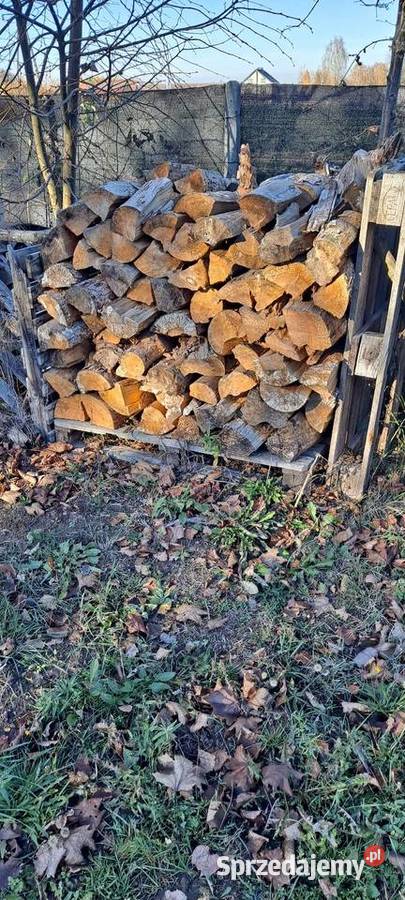 Sprzedam sosne 5 metr sucha 3 letnia Skronina