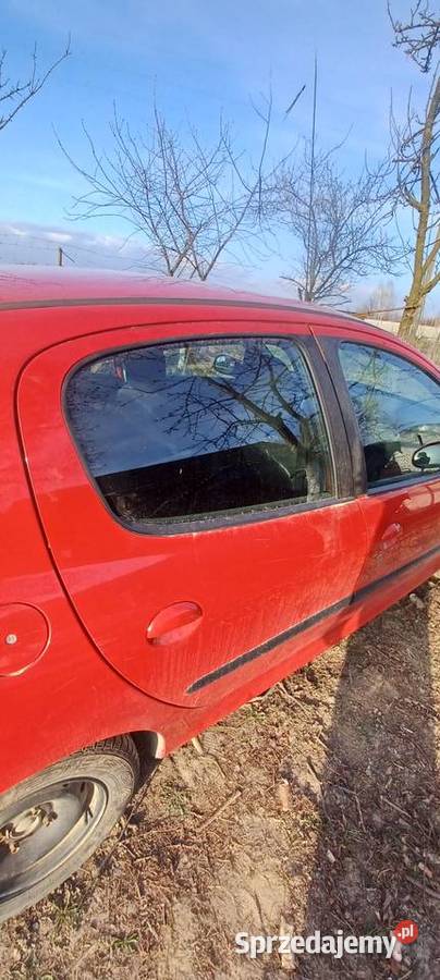 Drzwi peugeot 206 Sędziszów Małopolski