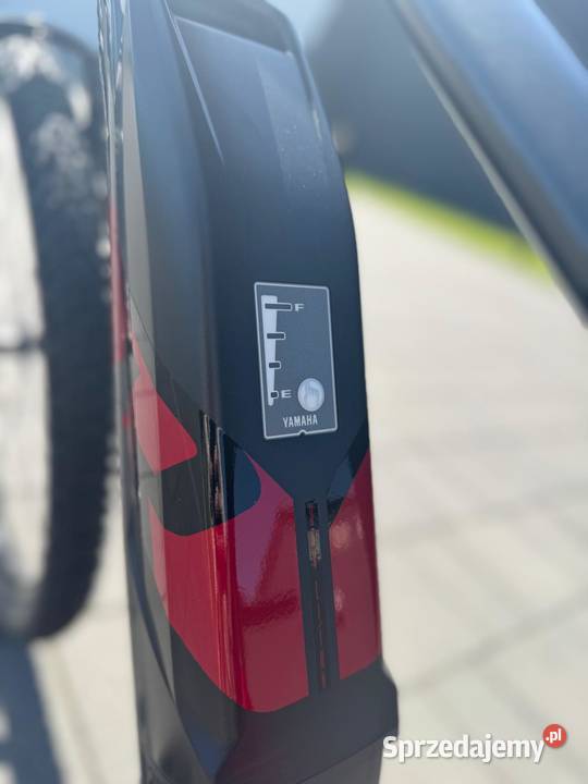 Rower elektryczny Raymon Hardray E 30 L50 Raty 0 Pojazdy elektryczne Poznań