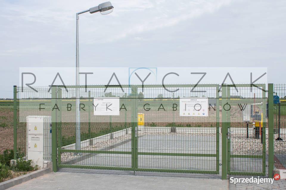 Brama dwuskrzydłowa rozwierana panel 3D fi 868 Toruń