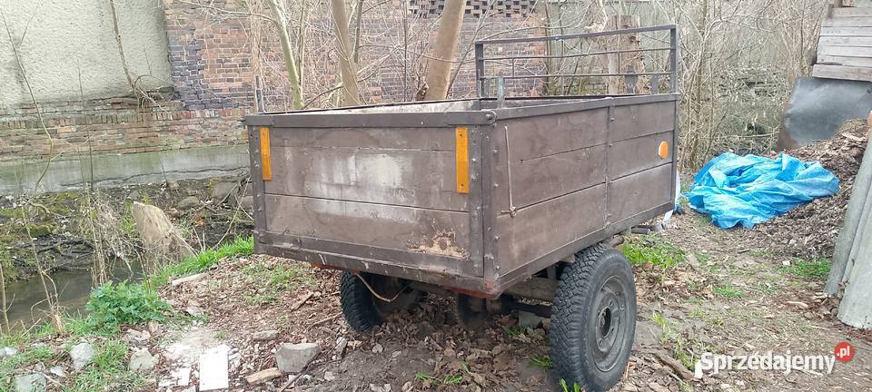 wsk 125 dzik rama Międzychód