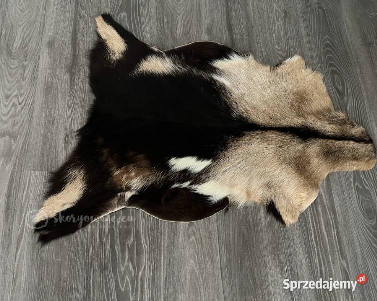 Unikatowa naturalna skóra kozia multicolor małopolskie Szaflary
