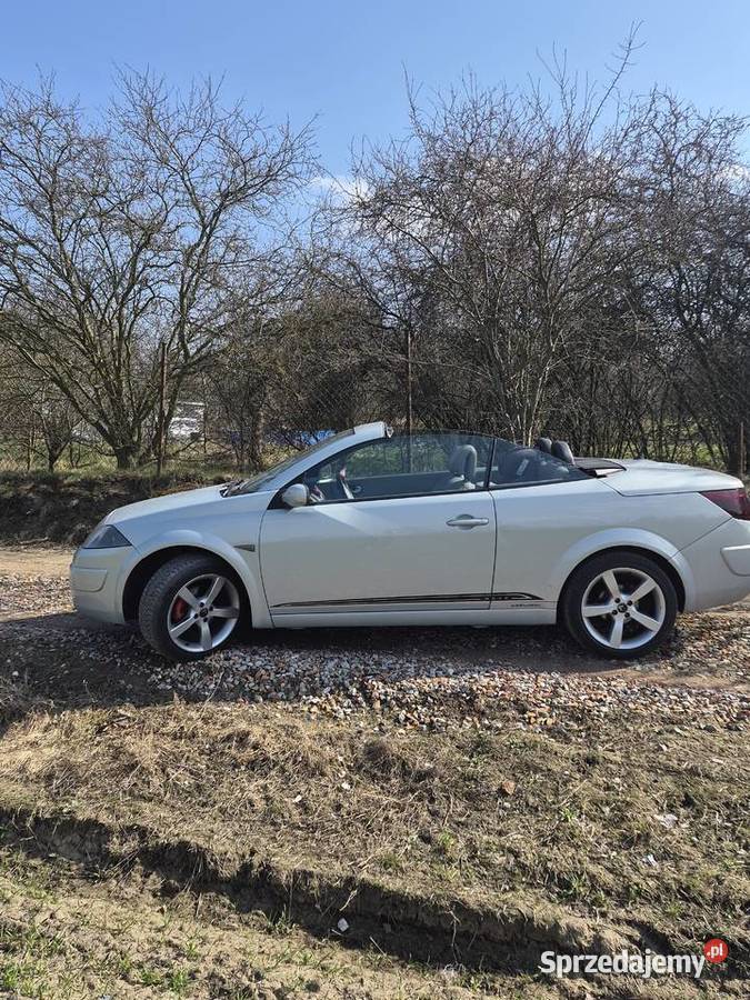 Megan w cabrio Szamotuły