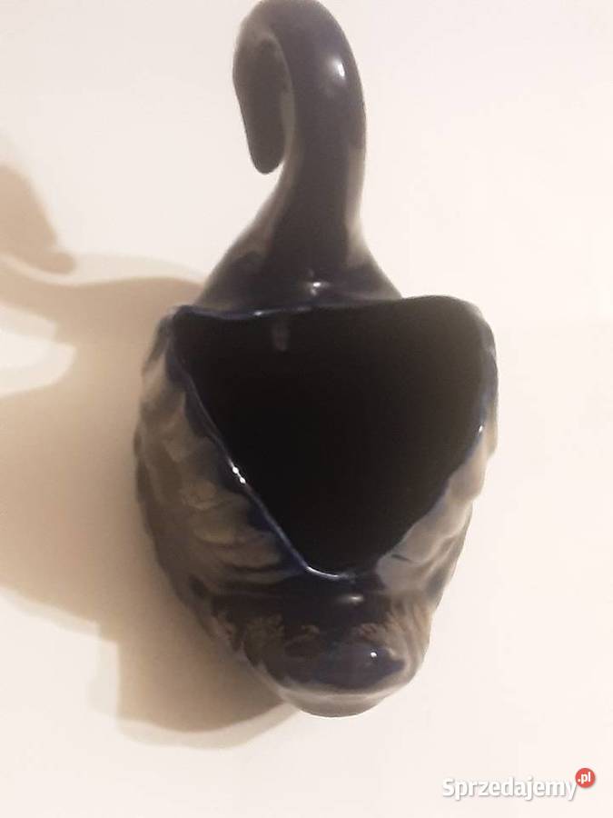 Łabądź dekoracyjny Szczecinek