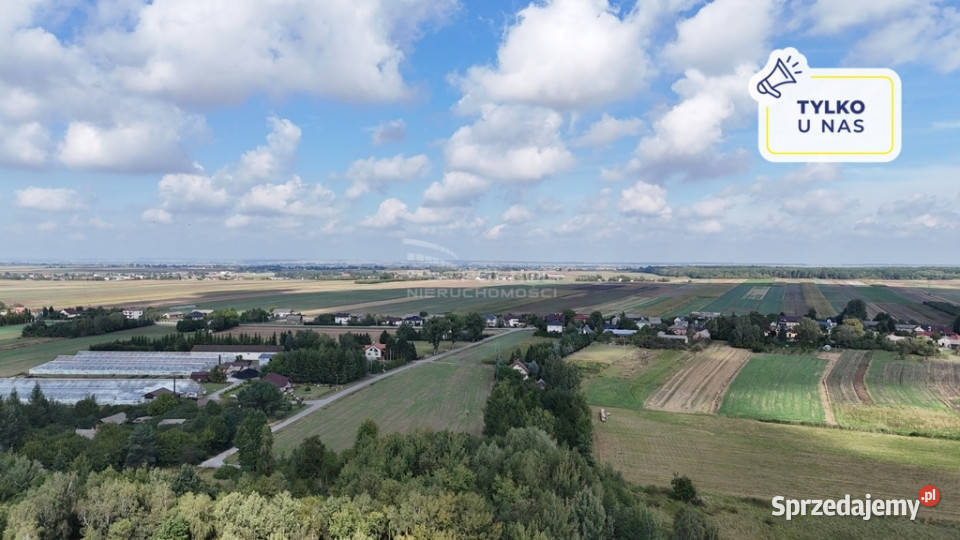 działka inwestycyjna 128 ha Barchaczów Łabunie 42m sprzedam