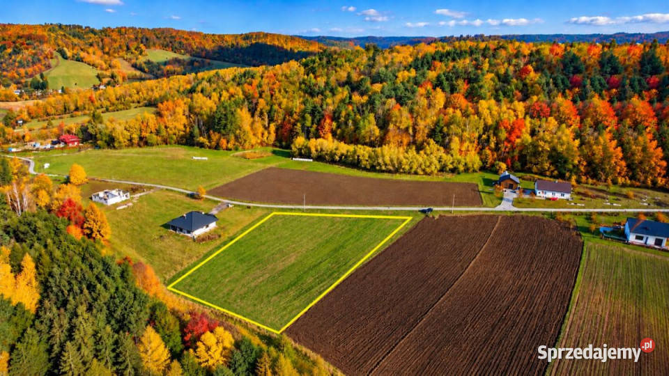 sprzedaży działki 4299m2 Tyrawa Solna