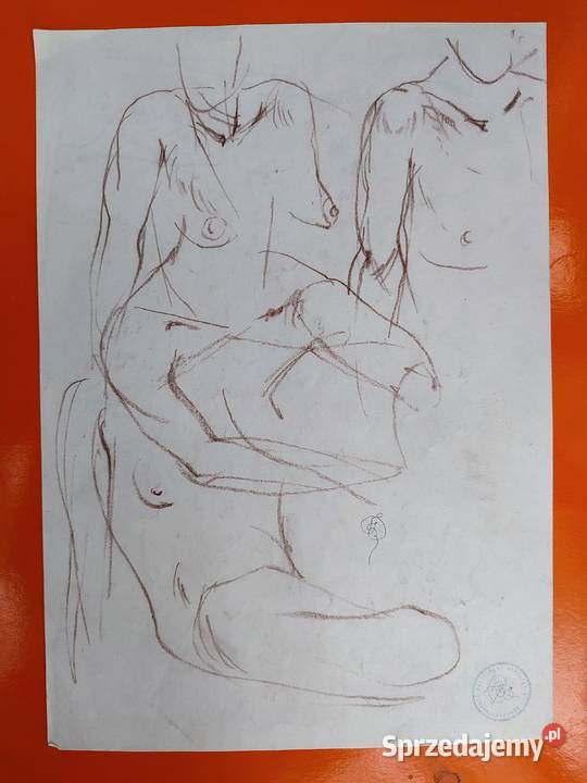 Szkice Franciszek Starowieyski sztuk 21 Białystok sprzedam