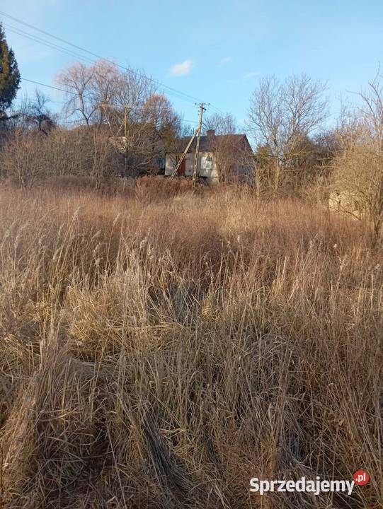 sprzedam dom Orłów Murowany