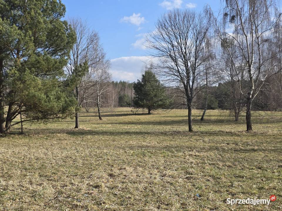 Linia brzegowa Śniardwy sprzedam