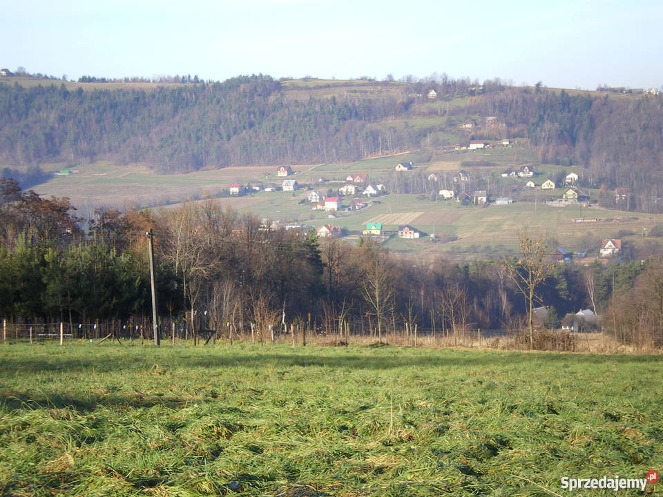 DZIAŁKA 16ar LipoweLIMANOWA