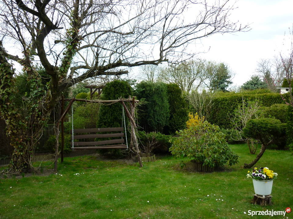 Ogródek działkowy 420m2 Leszno