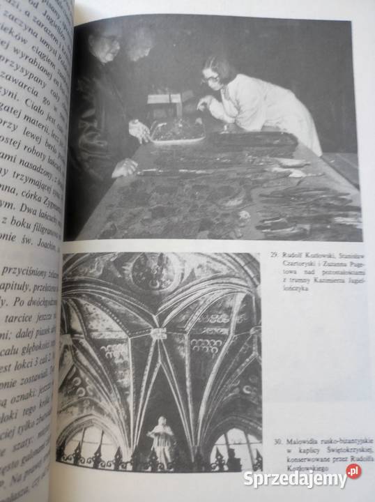 Zbigniew Święch Klątwy mikroby i uczeni Pozostałe Kultura i Rozrywka świętokrzyskie