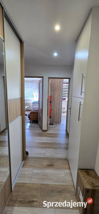 Mieszkanie do sprzedania 5722m2 3 pok Radlin