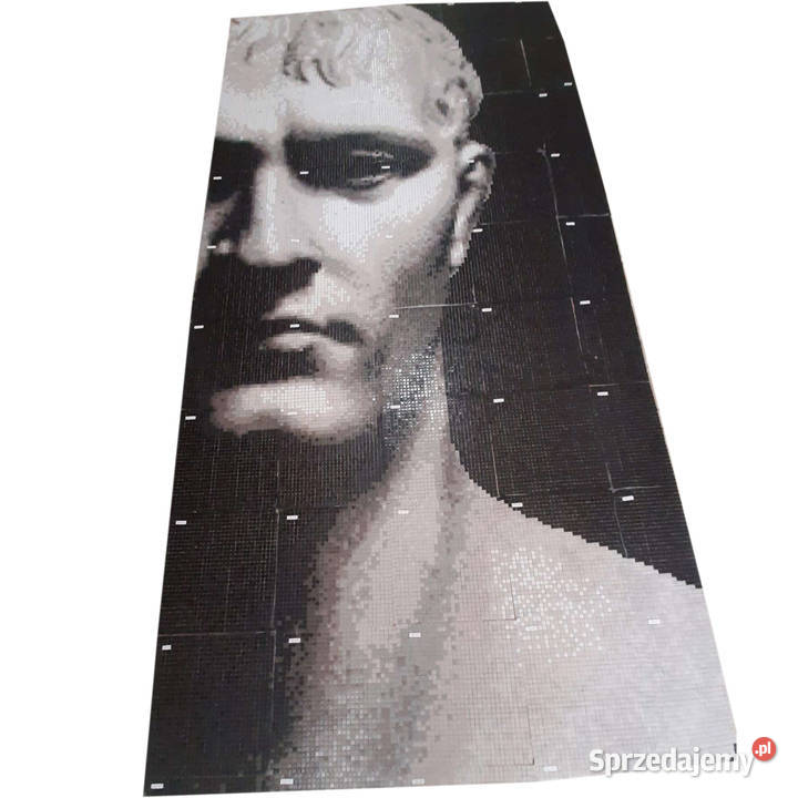 Mozaika szklana obraz Bonaparte 1460 x 2900 wielokolorowy Warszawa