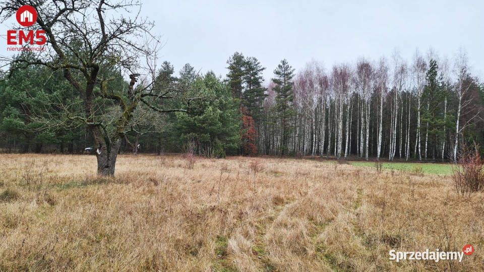 Działka Harsz 2366m2 woda podlaskie Pieńki