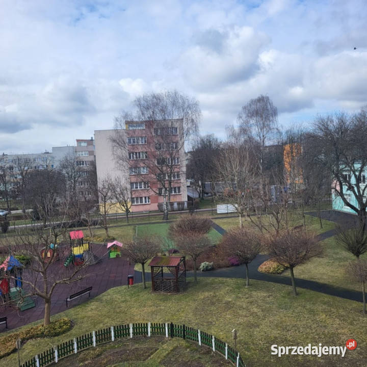 Mieszkanie 2 pokoje polkowice